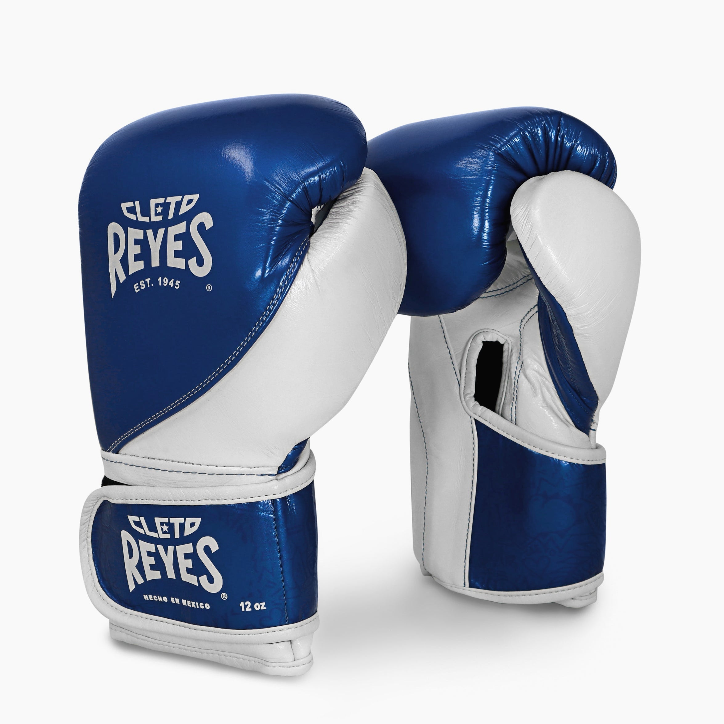 gants boxe sdi training