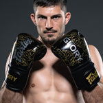 Boxing gloves Fairtex x Glory BGVG3 Black-silver