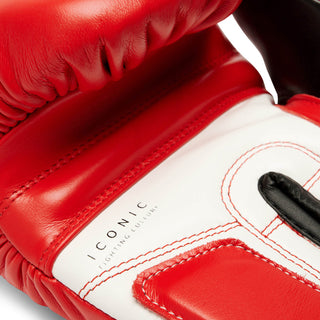 Boxing gloves Leone Iconic GN208