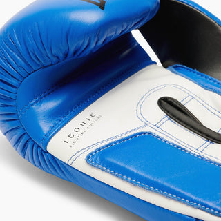 Boxing gloves Leone Iconic GN208