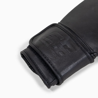 Boxing gloves Combat Arena Heritage 2.0
