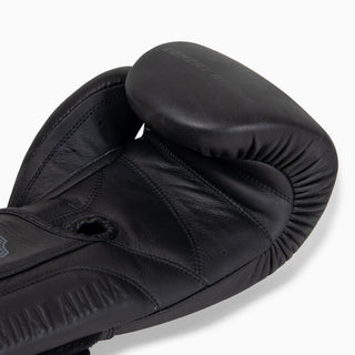 Boxing gloves Combat Arena Heritage 2.0