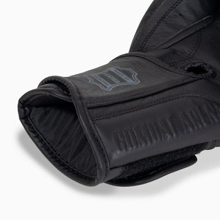 Boxing gloves Combat Arena Heritage 2.0