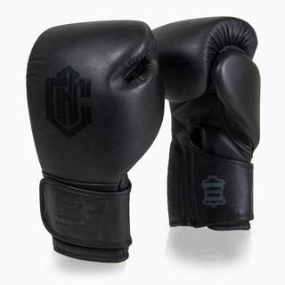 Boxing gloves Combat Arena Heritage 2.0