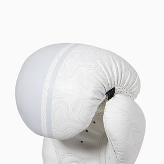 Boxing gloves Combat Arena Sonar