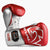Boxing gloves Rival Professional Sparring RS100 with laces