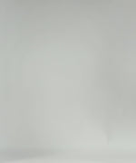 MMA shorts Venum X Ares