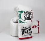 Boxing gloves Cleto Reyes Professional CB2 Mexican Tricolor with laces