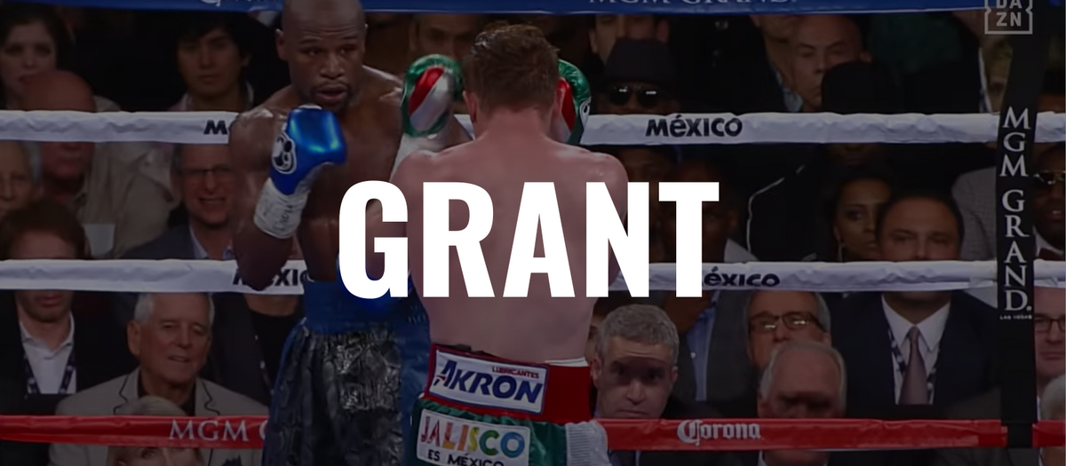 Boxing Gerant Grant Boxing Gloves: Technical Features – Combat Arena