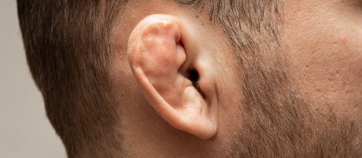 Cauliflower Ears: When the Experience is Seen... and Heard! – Combat Arena