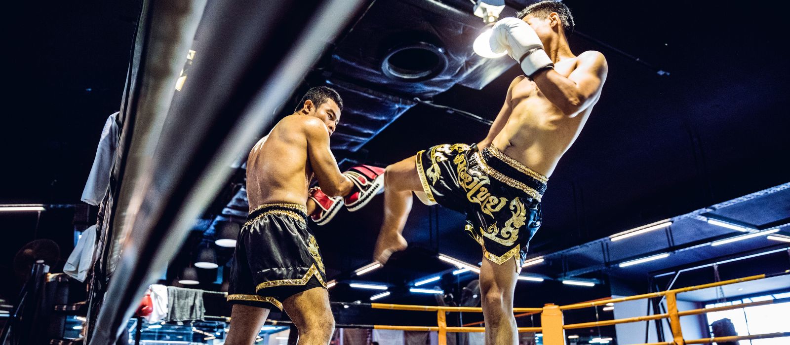 Muay Thai e colpitori: consigli pratici