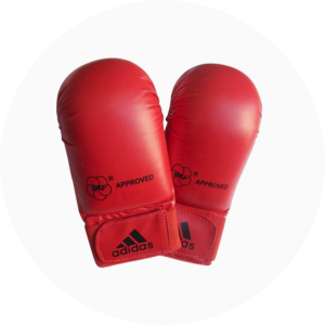 Guanti Karate-Fit