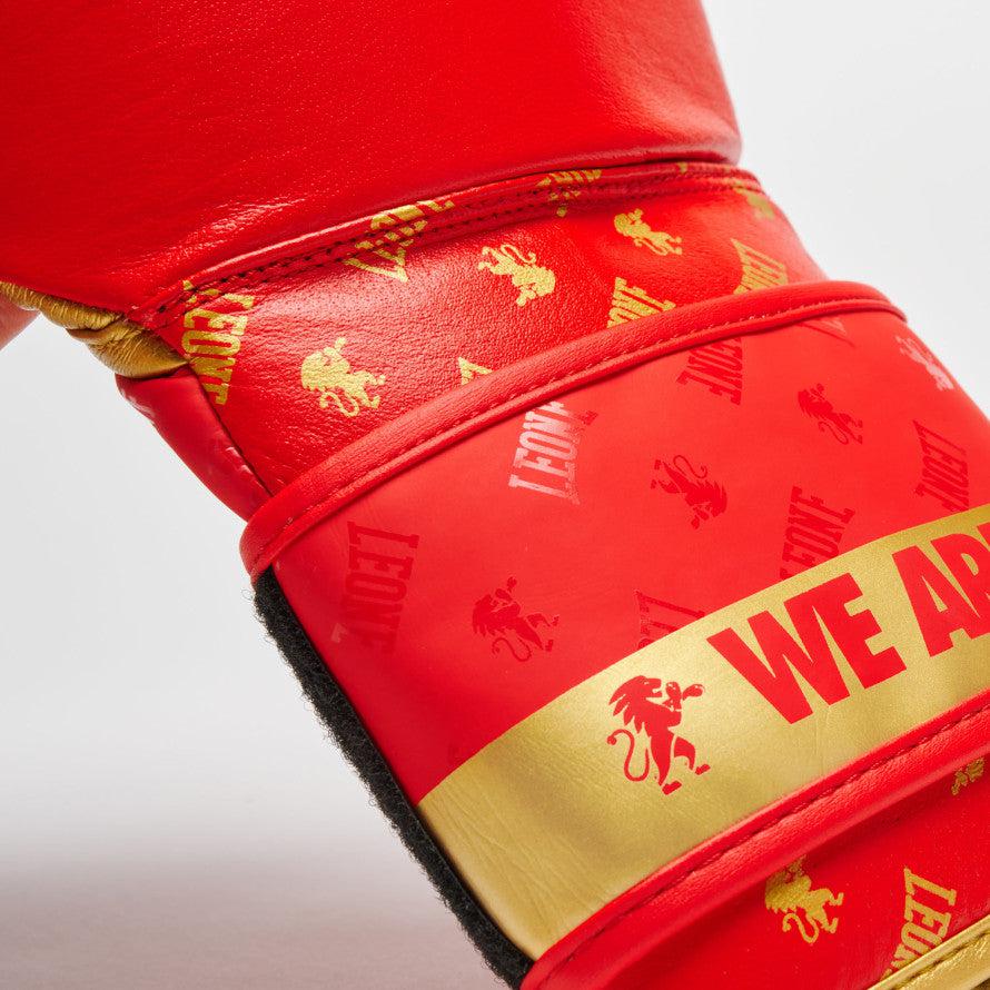 Boxing gloves Leone DNA GN220