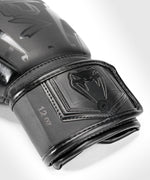Boxing gloves Venum Elite EVO