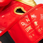 Boxing gloves Leone DNA GN220