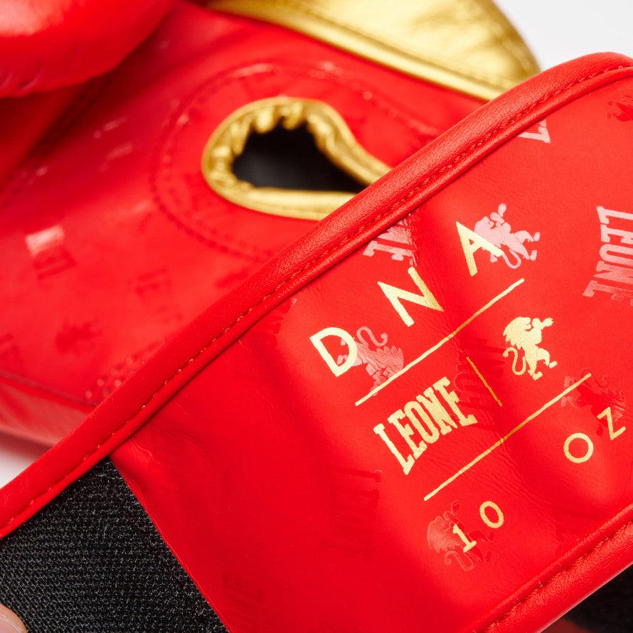 Boxing gloves Leone DNA GN220
