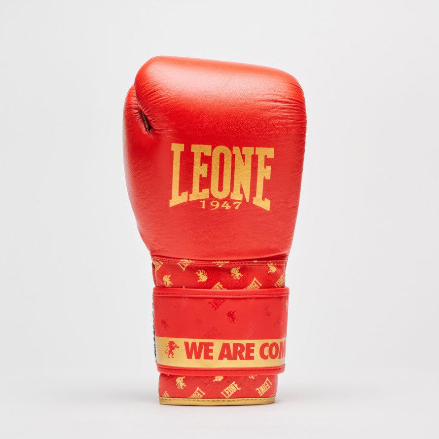 Boxing gloves Leone DNA GN220