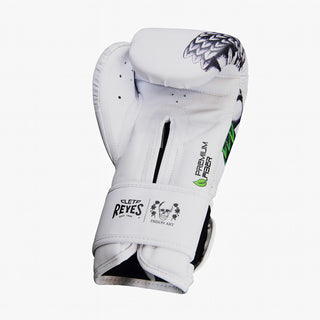 Boxing gloves Cleto Reyes Fiber Quetzalcoatl Prison Art 