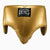 Groin guard boxing Cleto Reyes Extra Protection Gold 