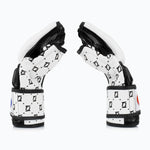MMA Gloves Fairtex 4 oz FGV17 