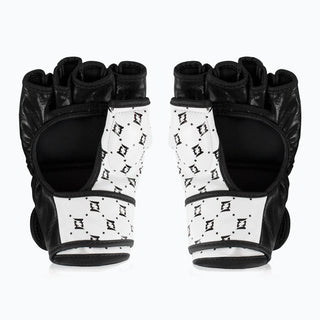 MMA Gloves Fairtex 4 oz FGV17 