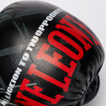 MMA Gloves Leone MMA Cage GP123 Dark Grey 