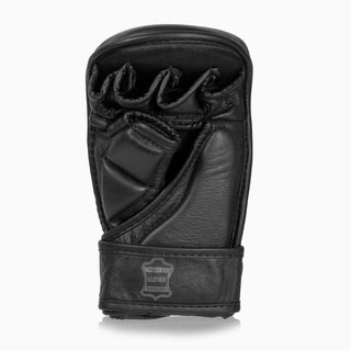 MMA Sparring Gloves Combat Arena Heritage 