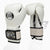 Boxing gloves Cleto Reyes Sparring CE6 White