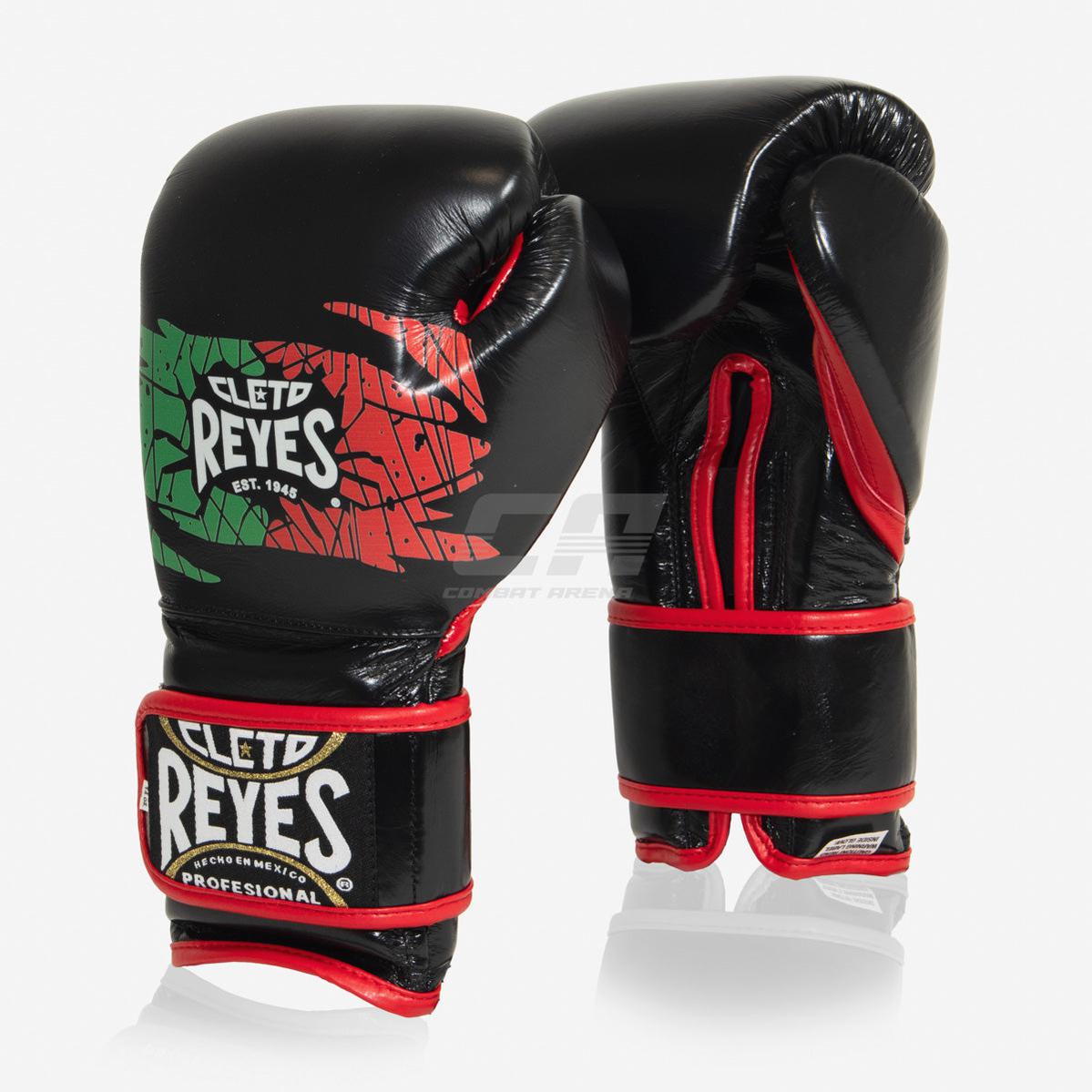 Guantoni-Cleto-Reyes-Sparring-