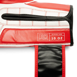 Boxing gloves Leone Iconic GN208