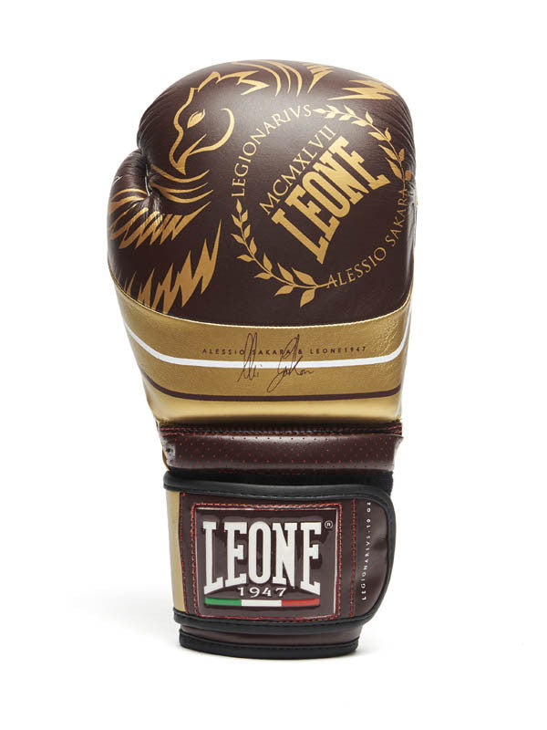 Boxing gloves Leone Legionarivs GN202 – Combat Arena