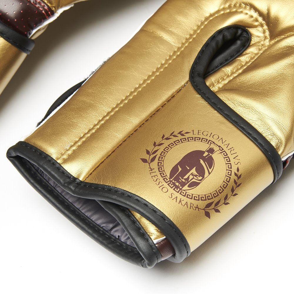 Boxing gloves Leone Legionarivs GN202 – Combat Arena
