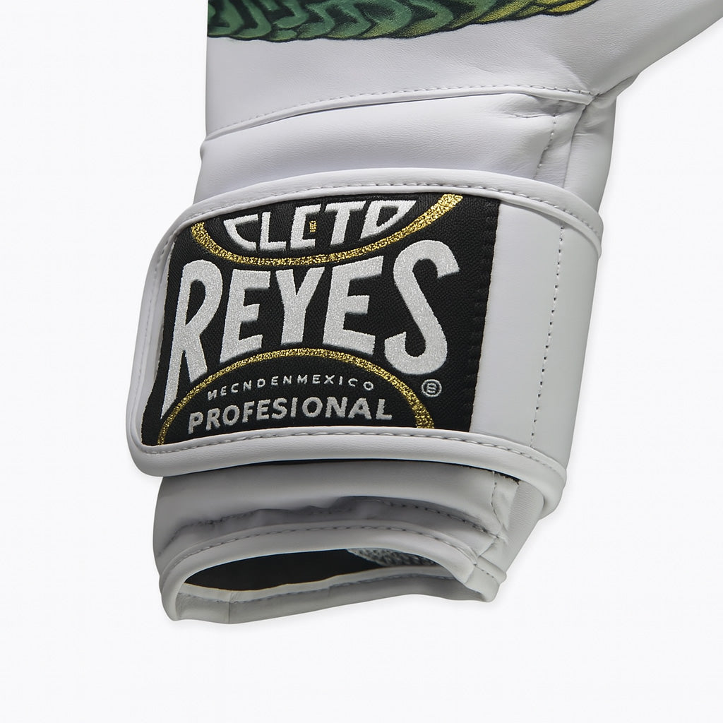 Boxing gloves Cleto Reyes Fiber Quetzalcoatl Prison Art - Combat Arena
