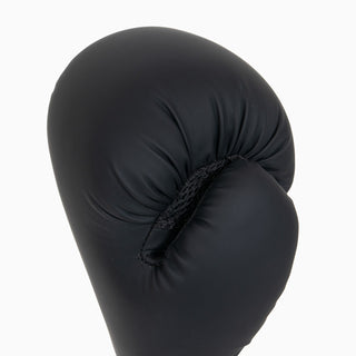 Boxing gloves Combat Arena Club 