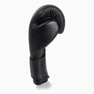 Boxing gloves Combat Arena Heritage 2.0 