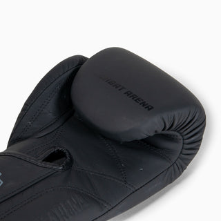 Boxing gloves Combat Arena Heritage Classic 2.0 