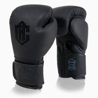Boxing gloves Combat Arena Heritage Classic 2.0 