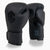 Boxing gloves Combat Arena Heritage Classic 2.0 