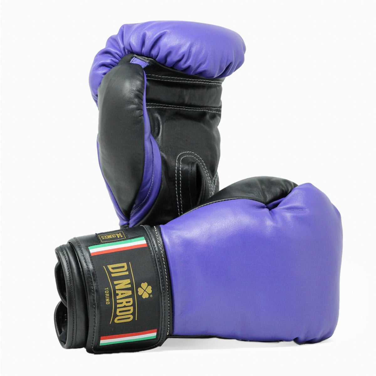 Boxing gloves Di Nardo with velcro Combat Arena