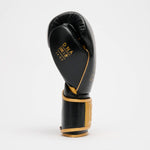 Boxing gloves Leone DNA Premium GN002 Black