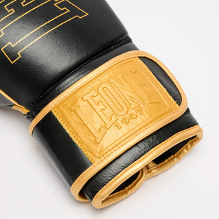 Boxing gloves Leone DNA Premium GN002 Black