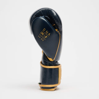 Boxing gloves Leone DNA Premium GN002 Blue 