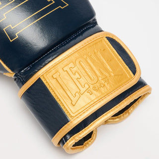 Boxing gloves Leone DNA Premium GN002 Blue 