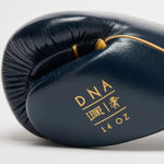 Boxing gloves Leone DNA Premium GN002 Blue 