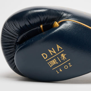 Boxing gloves Leone DNA Premium GN002 Blue 