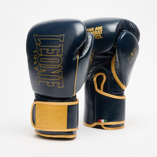 Boxing gloves Leone DNA Premium GN002 Blue 
