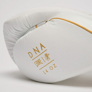Boxing gloves Leone DNA Premium GN002 White 