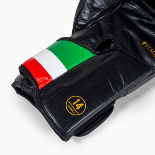 Boxing gloves Leone Italy GN039 