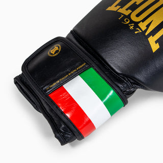 Boxing gloves Leone Italy GN039 