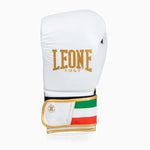 Boxing gloves Leone Italy GN039 